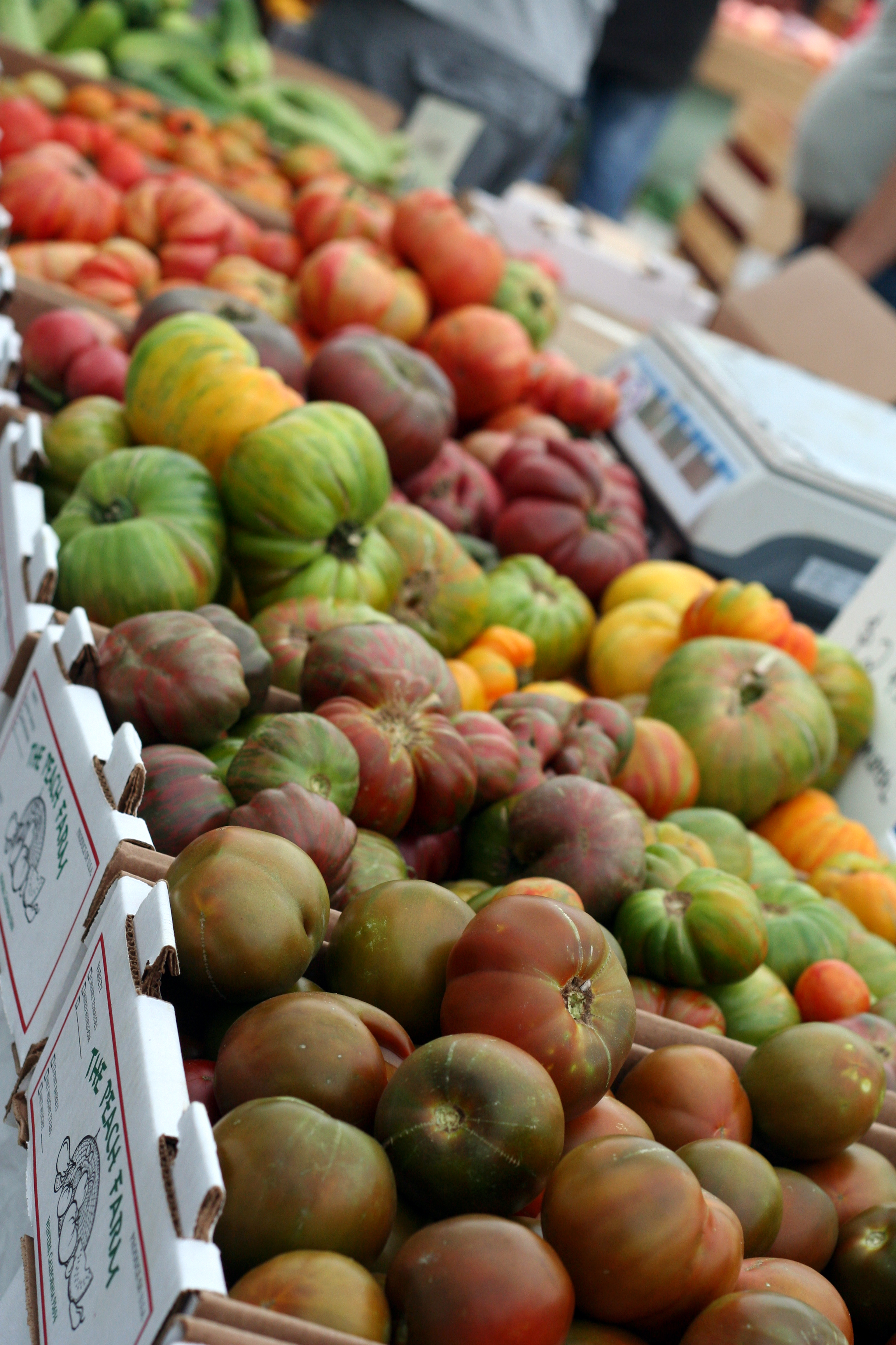 Salt Lake City Farmer's Market